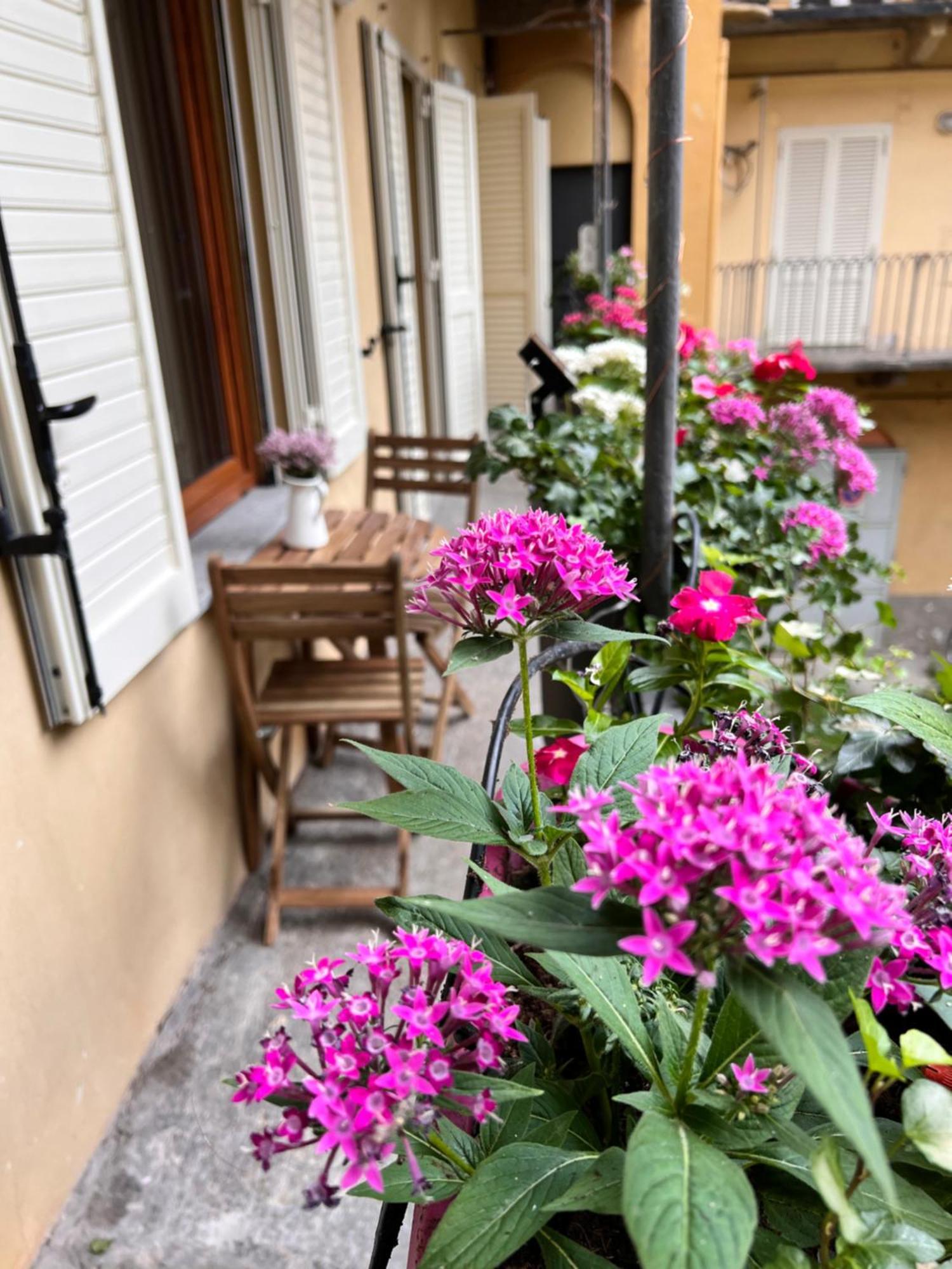 La Corte Luxury Suite - Torino Centro Экстерьер фото
